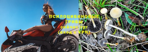 эйфоретик Россошь