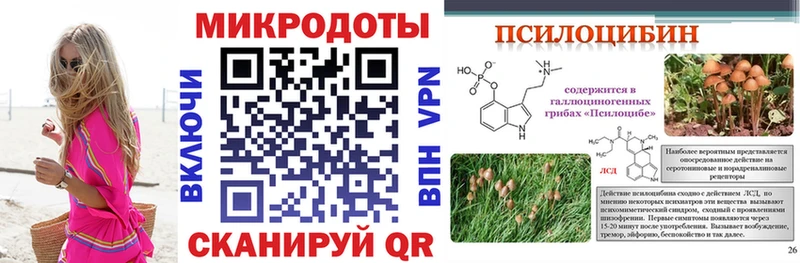 Галлюциногенные грибы ЛСД  купить закладку  Северобайкальск 
