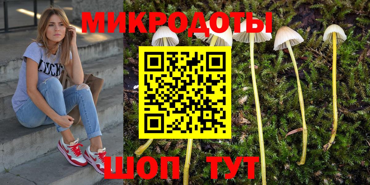 Галлюциногенные грибы прущие грибы  Галлюциногенные грибы прущие грибы  Вход с VPN  Северобайкальск 