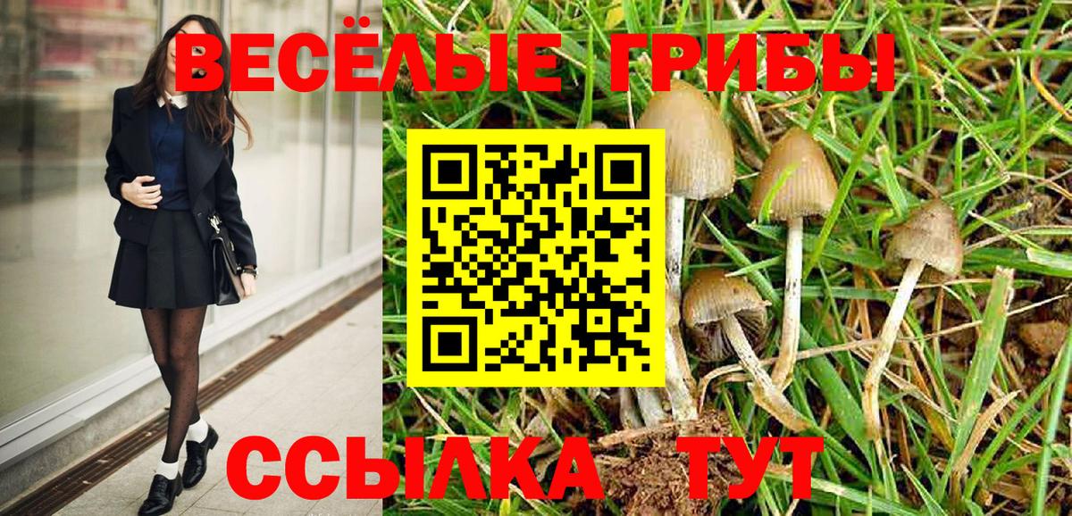 Псилоцибиновые грибы мицелий Северобайкальск